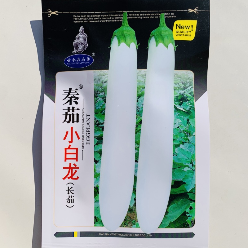 秦茄小白龙茄子种子白玉长茄茄籽种子早熟高产蔬菜种子白茄子