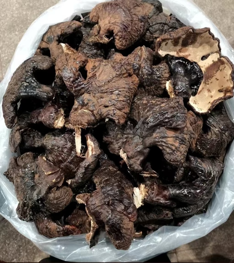 灵芝，一手货源，品质优良，诚信长期合作，欢迎电话联系