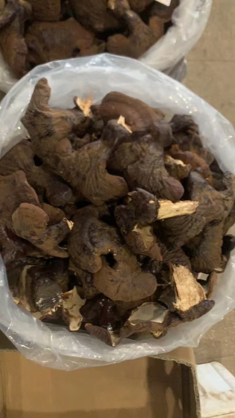 灵芝，一手货源，产地直发，诚信合作，长期合作，欢迎电话联系。