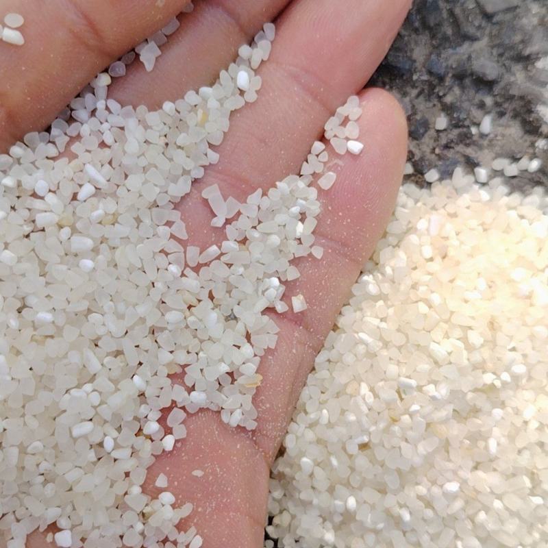 新米中碎小碎供应中