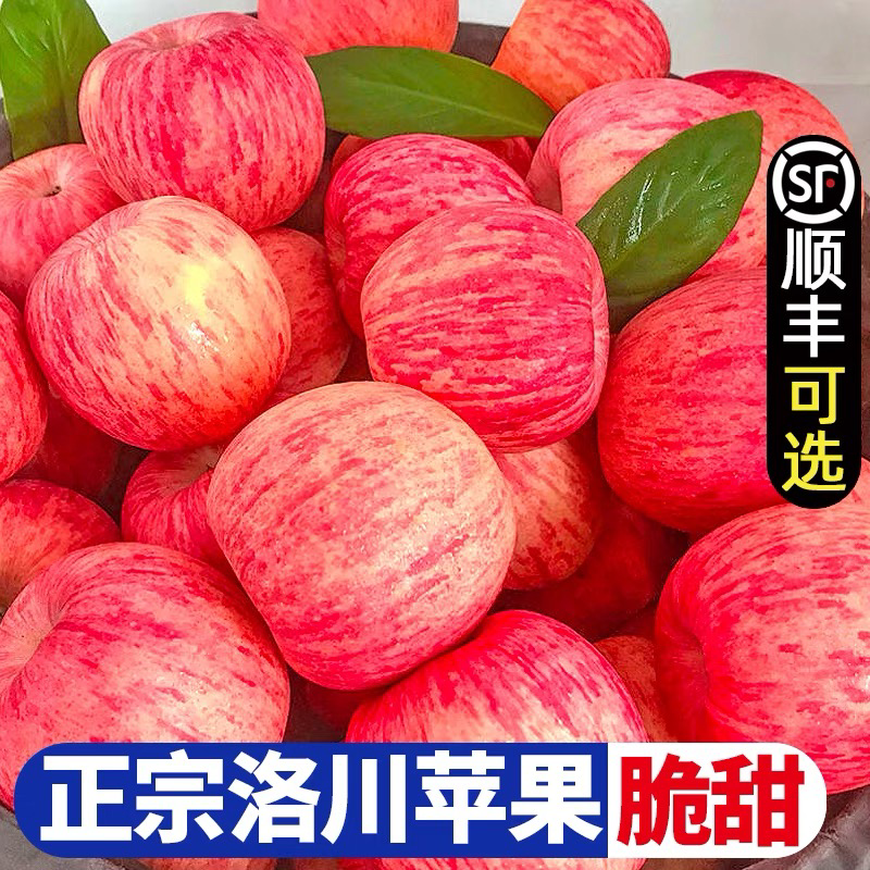 洛川苹果电商一件代发精品保真