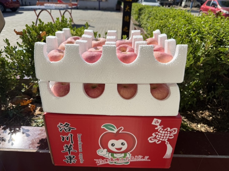 洛川苹果电商一件代发精品保真