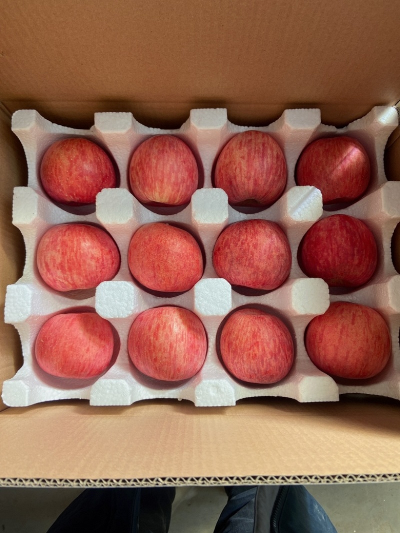 洛川苹果电商一件代发精品保真