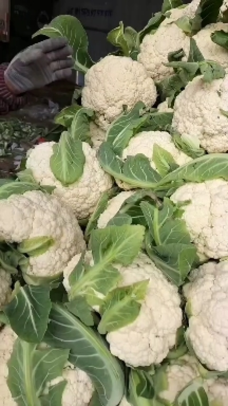 有机花莱大量上市中，产地直供代发全国