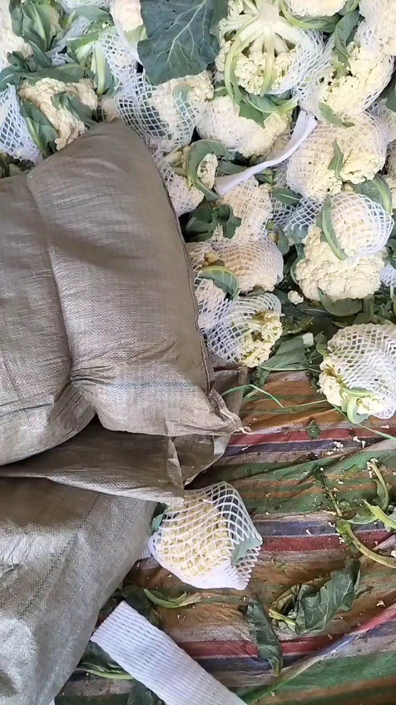 有机花莱大量上市中，产地直供代发全国
