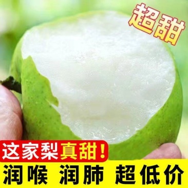 酥脆香梨，果实，脆，甜，基地直发，假一赔十，现挖苗发