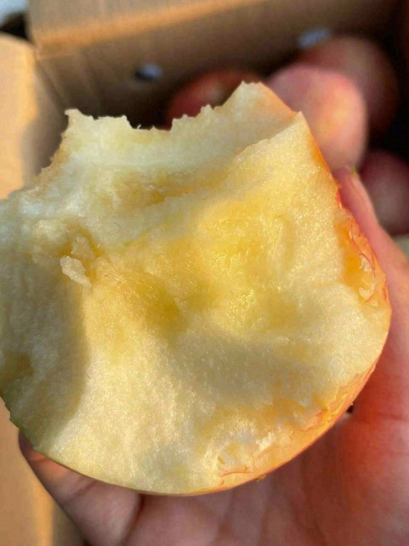 宁夏红富士苹果脆甜可口量大从优价格美丽质量好走货快热卖