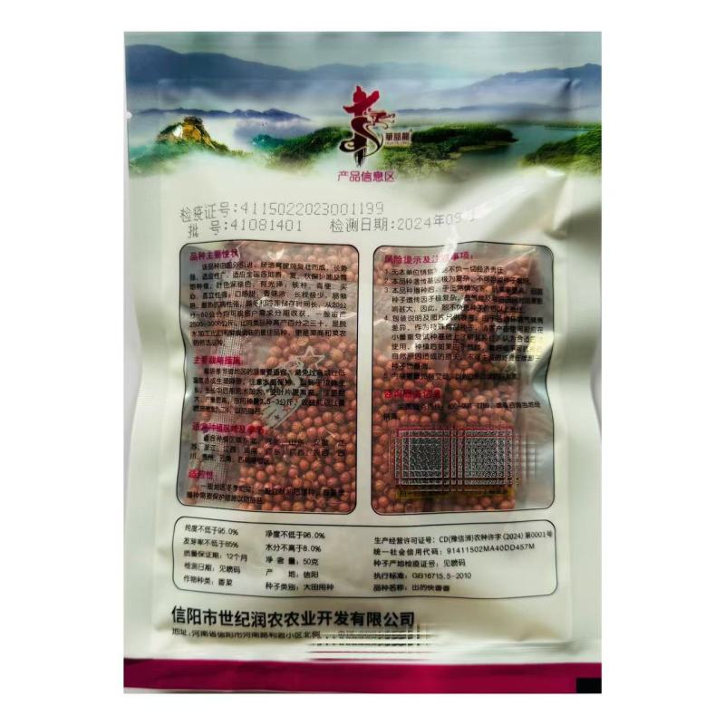 甜味猪耳朵菠菜种子大叶抗热抗病耐抽苔秋冬菠菜种籽