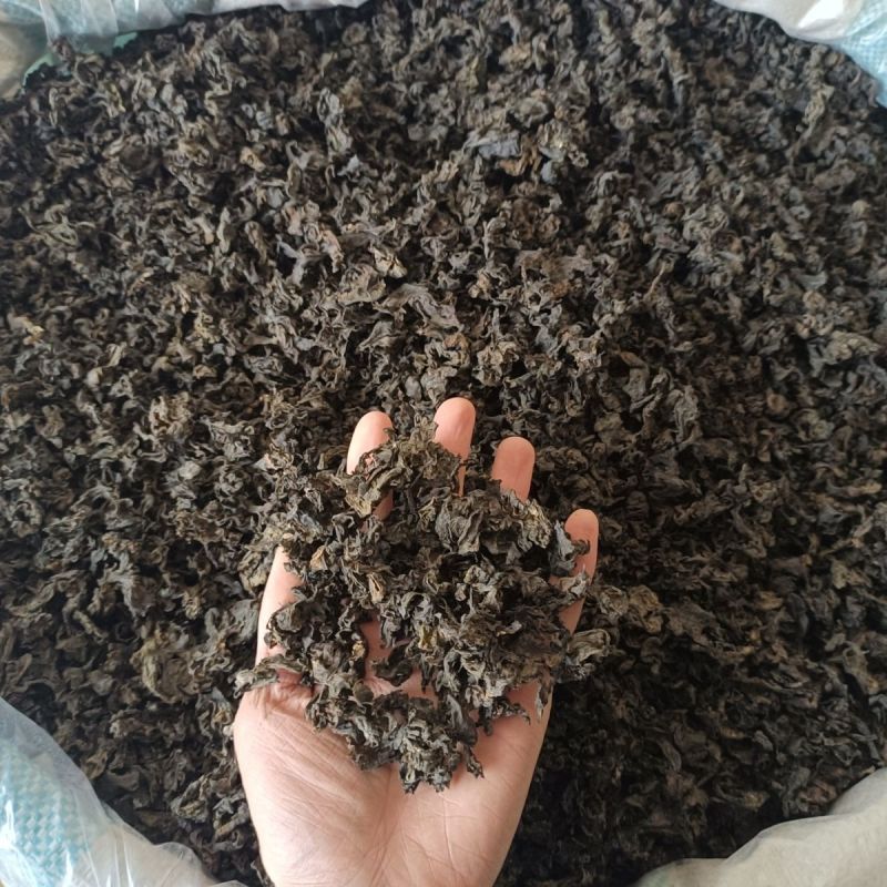 免洗地皮菜干货雷公菜特级蔬菜地软地木耳干货甘肃陇西发货