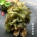 免洗地皮菜干货雷公菜特级蔬菜地软地木耳干货甘肃陇西发货