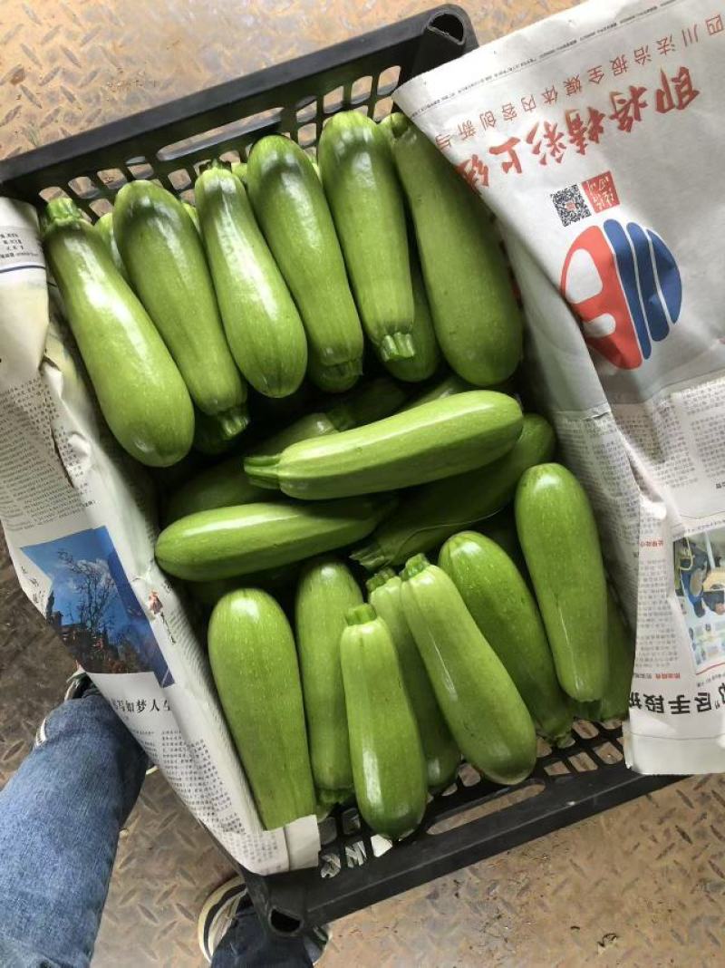 三月瓜
