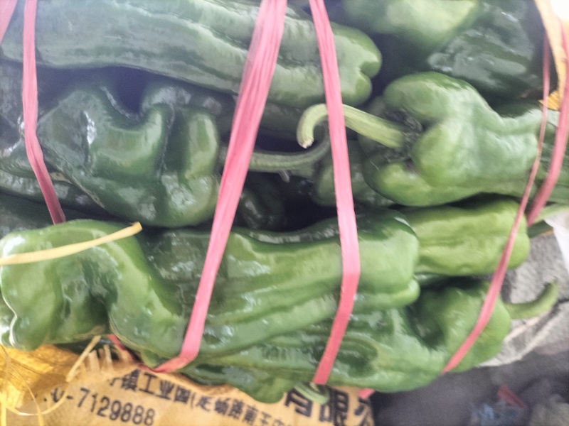 大量供应各种鲜辣椒，产地直供保质保量代购代发。