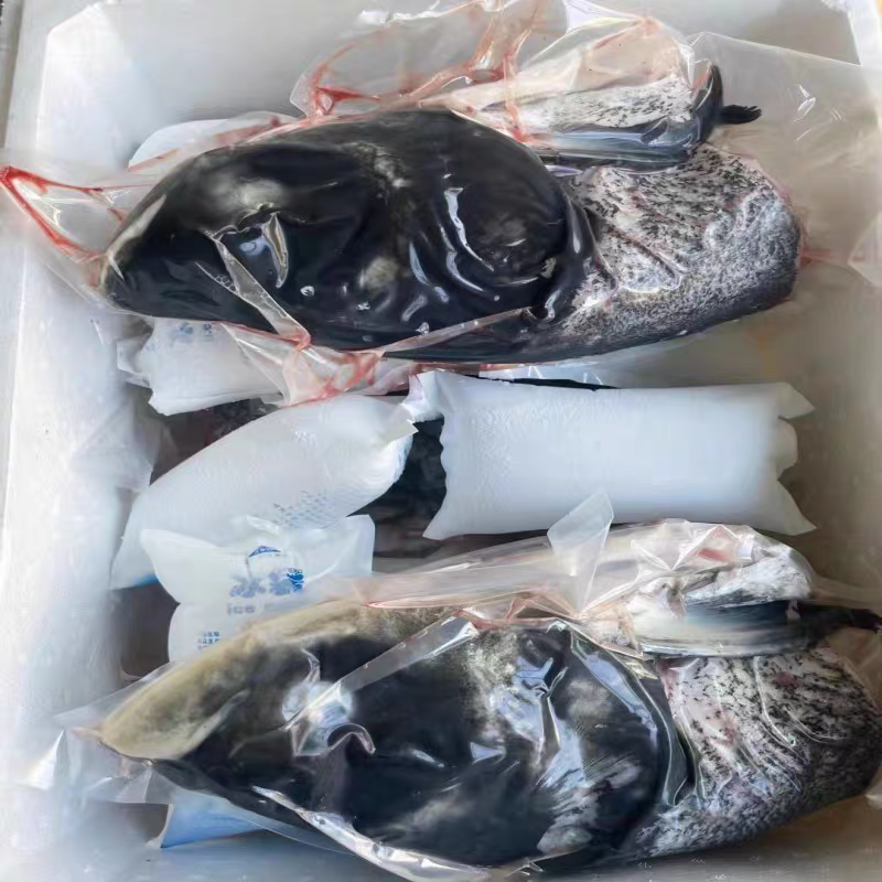 精品花鲢鱼头，大花鲢鱼头，胖头鱼，肉质细嫩肥美，欢迎订购