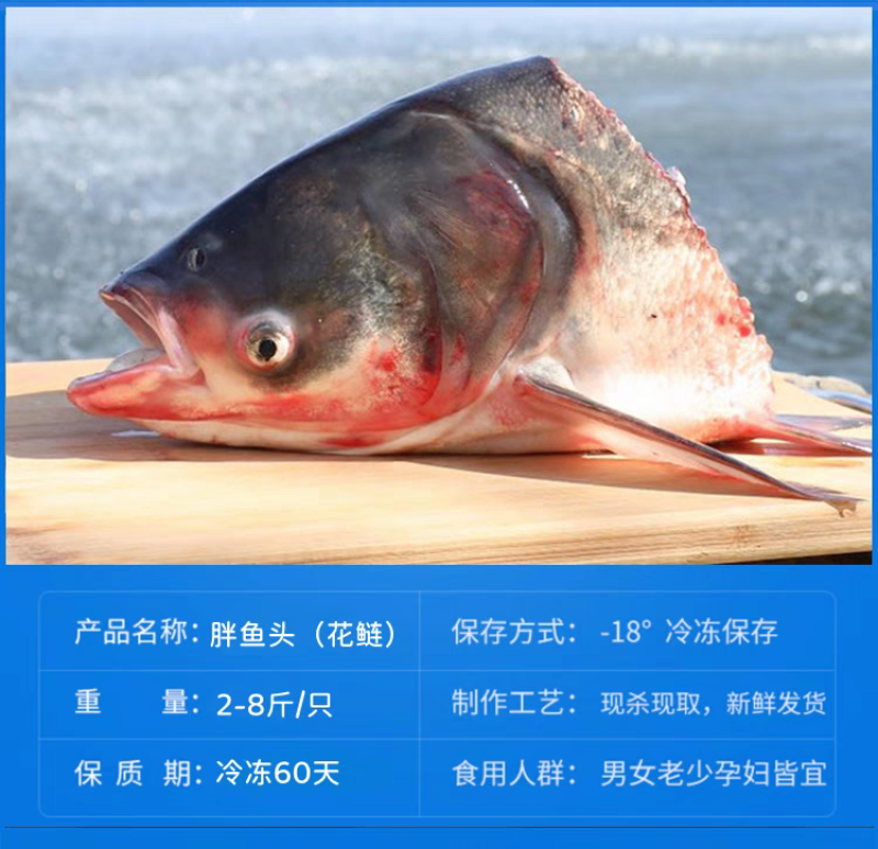 精品花鲢鱼头，大花鲢鱼头，胖头鱼，肉质细嫩肥美，欢迎订购