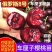 果园直发矮化车厘子大樱桃树苗俄罗斯8号美早结果早保真