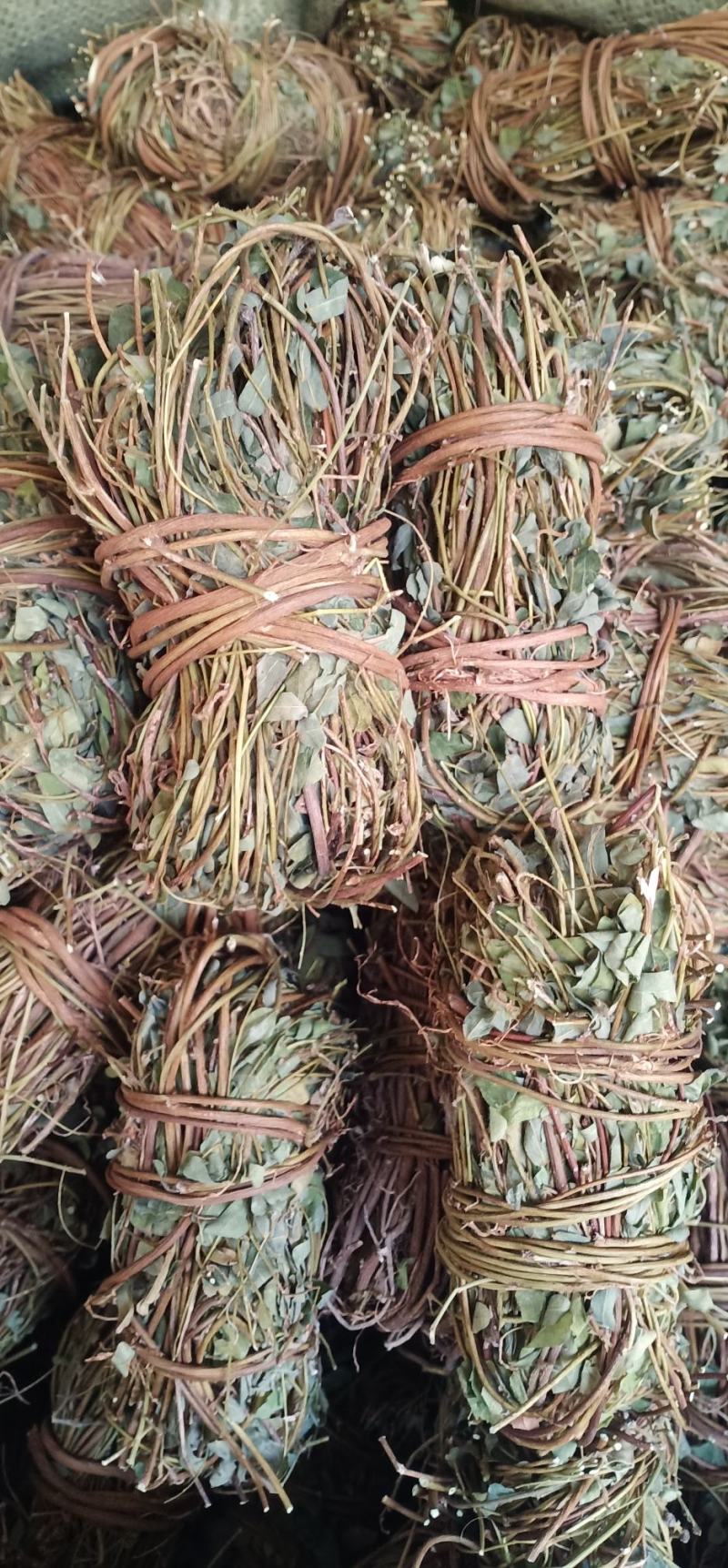大叶小扎把鸡骨草中药批发一手货源量大忧惠