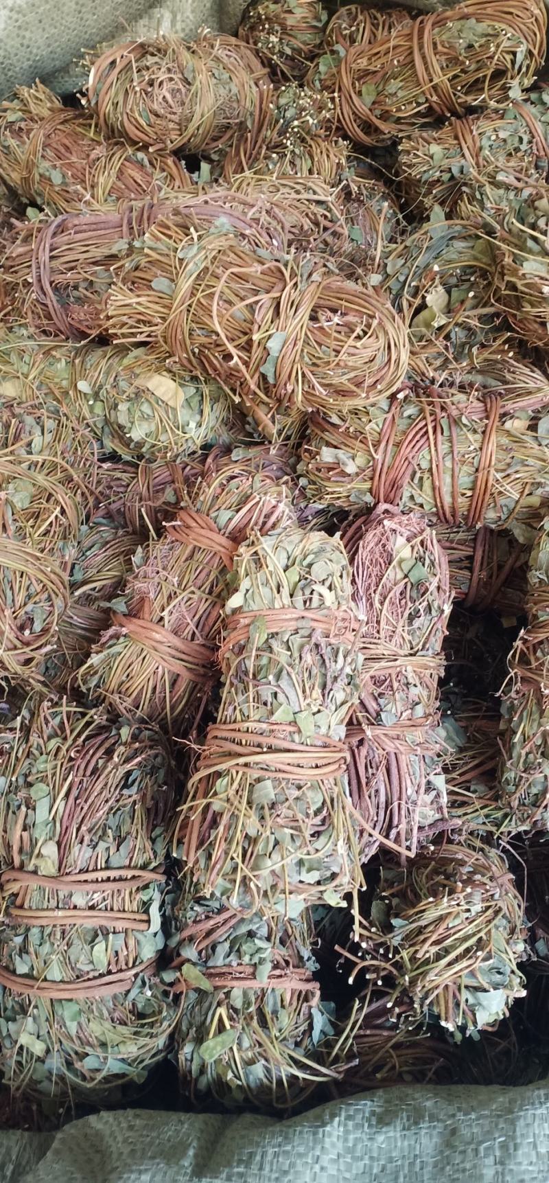 大叶小扎把鸡骨草中药批发一手货源量大忧惠