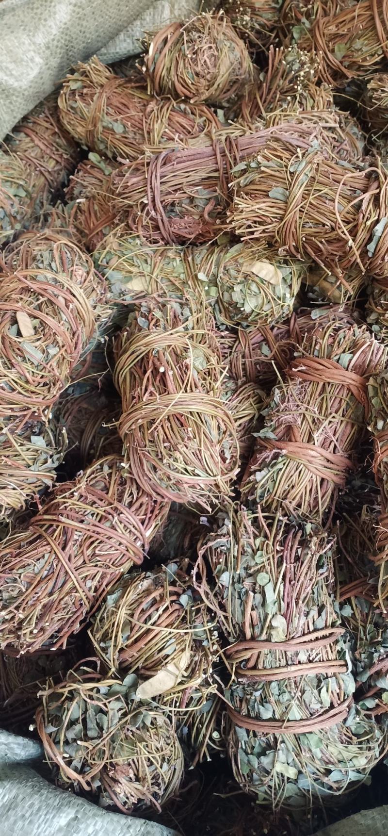 大叶小扎把鸡骨草中药批发一手货源量大忧惠