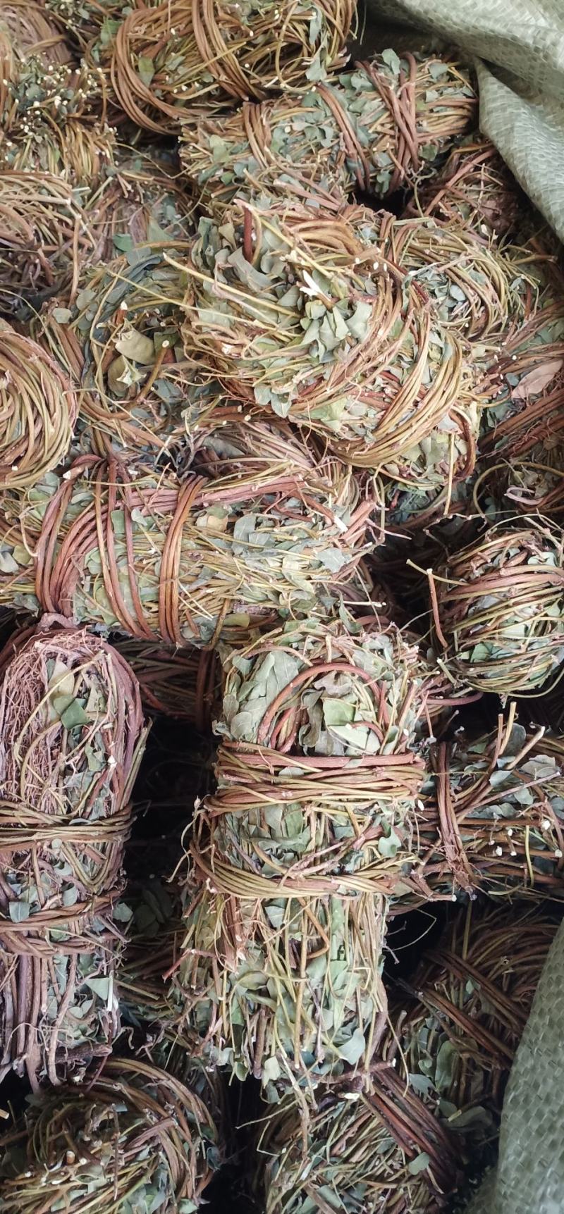 大叶小扎把鸡骨草中药批发一手货源量大忧惠