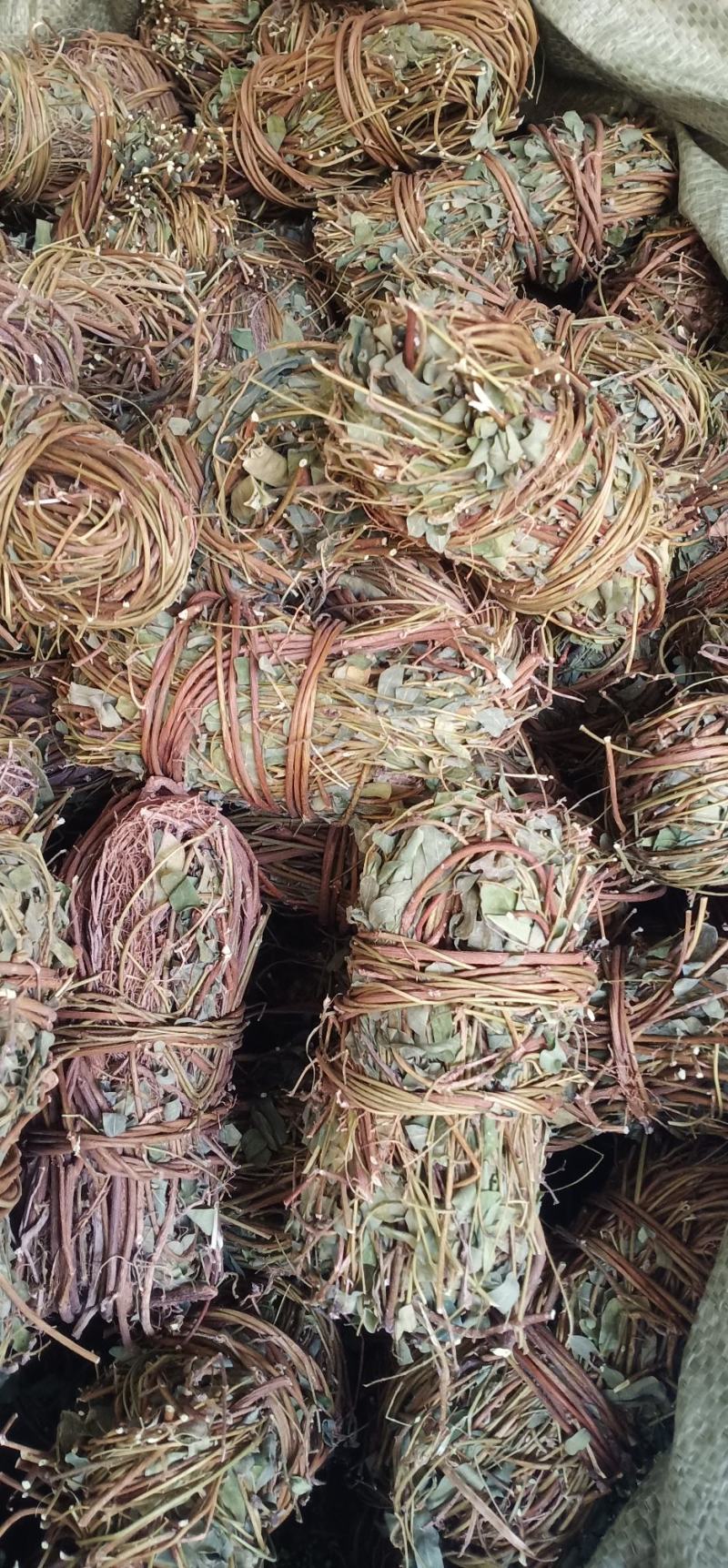 大叶小扎把鸡骨草中药批发一手货源量大忧惠