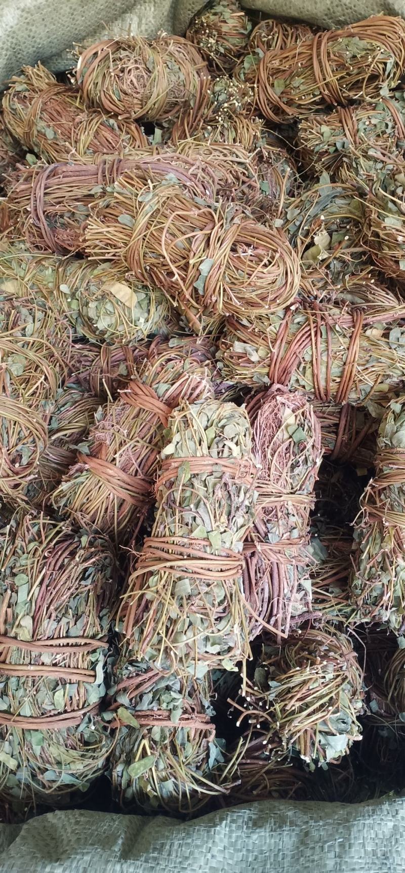 大叶小扎把鸡骨草中药批发一手货源量大忧惠