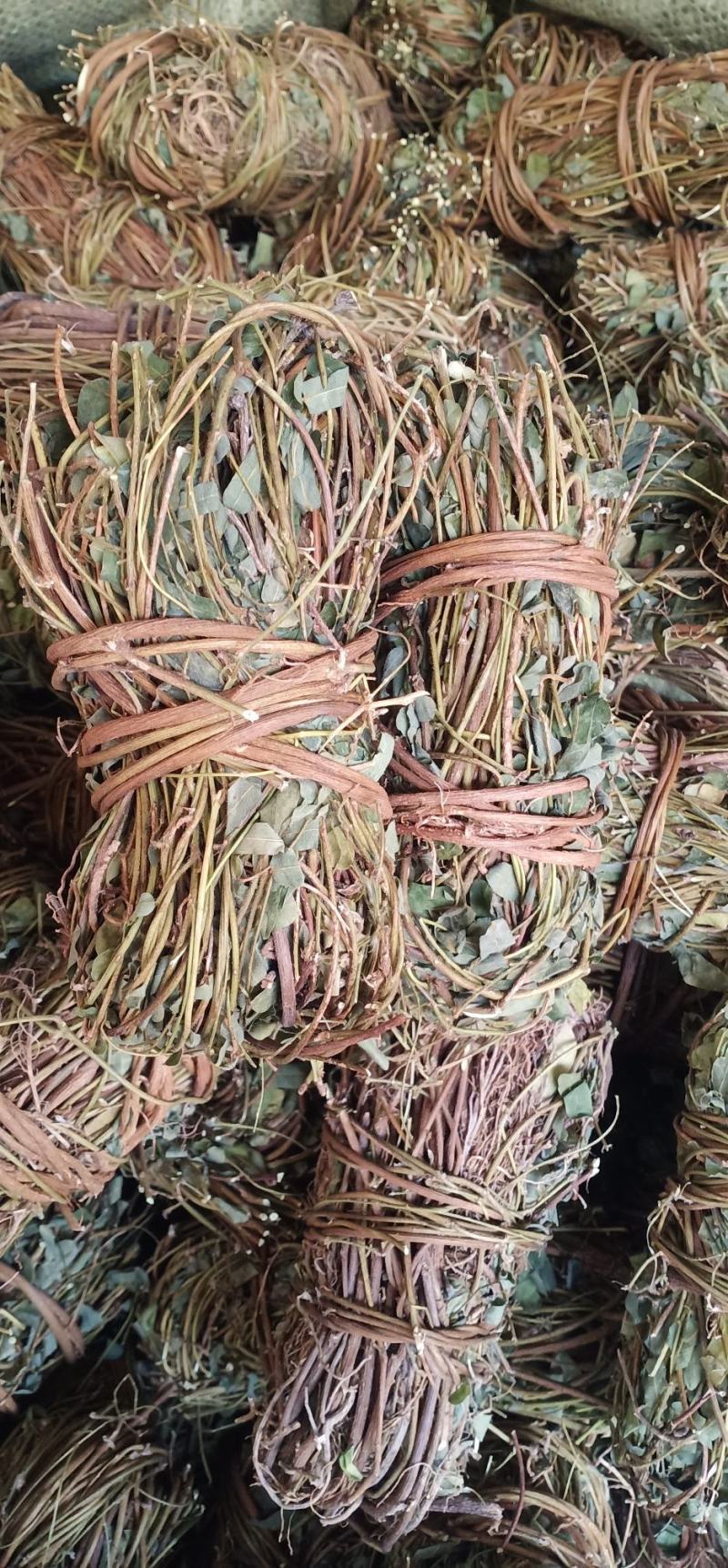 大叶小扎把鸡骨草中药批发一手货源量大忧惠