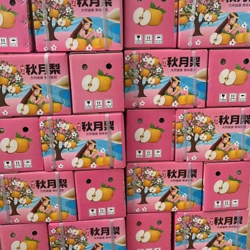 秋月梨，秋月梨礼盒，各种，梨礼盒，现场加工价格，诚信第一