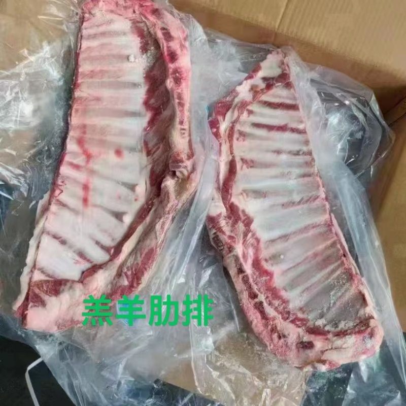 精制羊肋排/羔羊肋排批发/物美价优/量大优惠