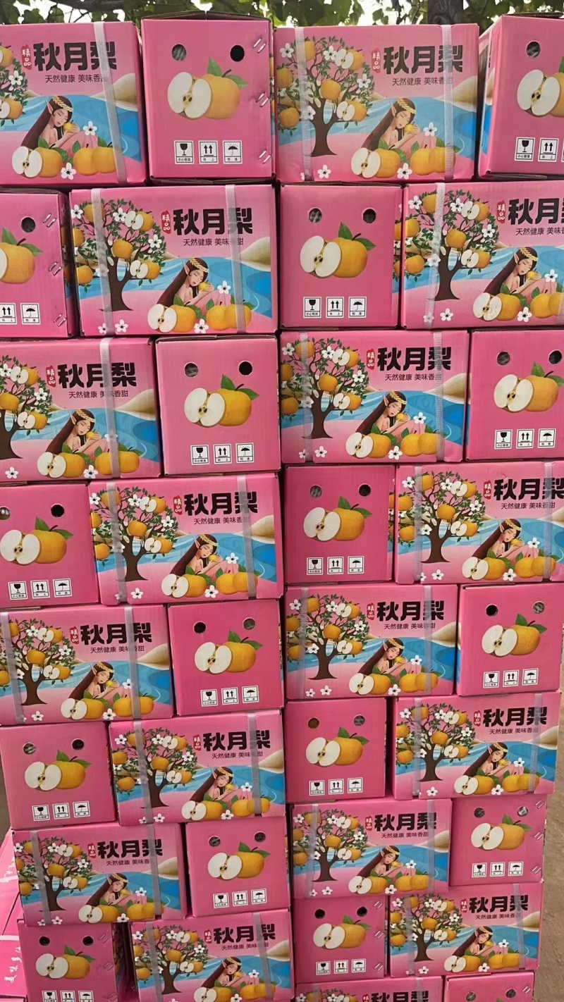 秋月梨，秋月梨礼盒，各种，梨礼盒，现场加工价格，诚信第一