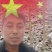 南林3804，南林3412无絮速生新品种杨树苗。