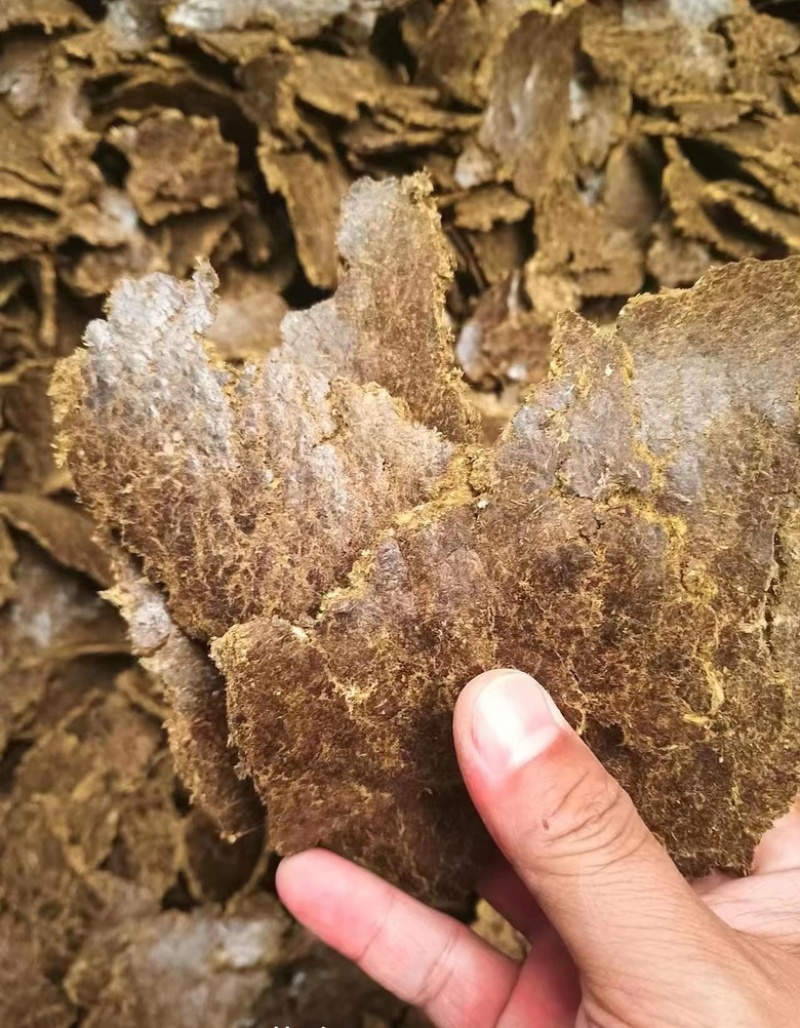 棉籽饼，蛋白高，有机肥料，可喂牛羊。