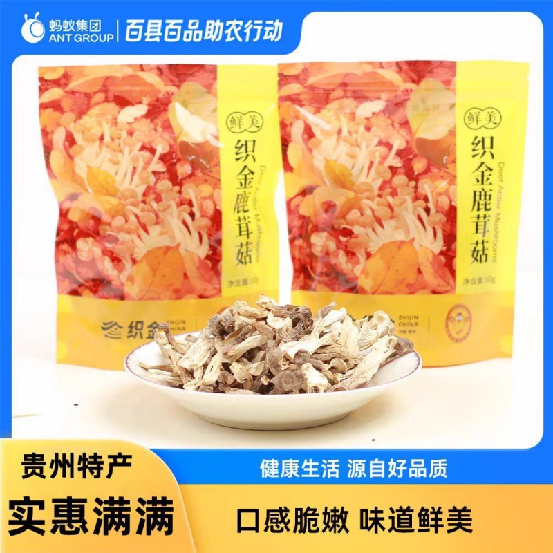 鹿茸菇