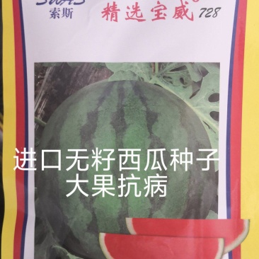 宝威无籽西瓜种子东方正大大果单瓜24公斤耐热耐低温耐裂高