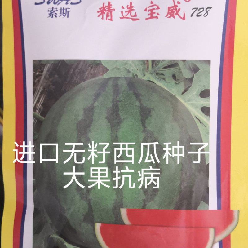 宝威无籽西瓜种子东方正大大果单瓜24公斤耐热耐低温耐裂高