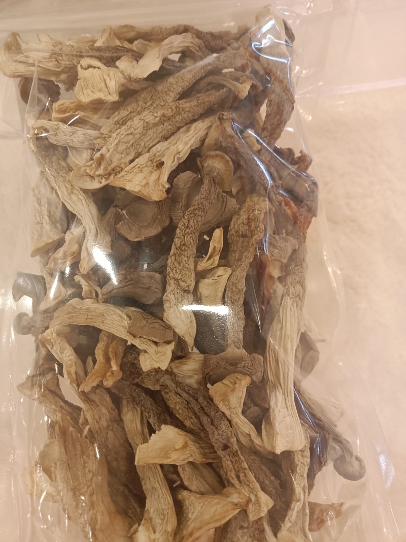 鹿茸菇