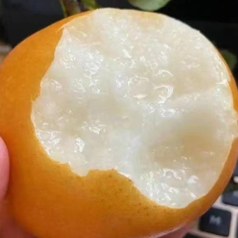 秋月（精品）商超**皮薄汁多味甜