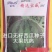 宝威无籽西瓜种子东方正大大果单瓜24公斤耐热耐低温耐裂高
