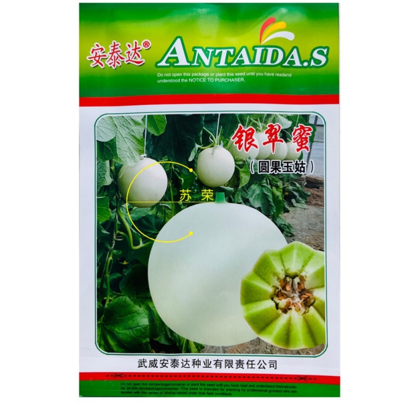 银翠蜜玉姑甜瓜种子籽高端玉菇白皮绿肉软糯香甜冰淇淋蜜瓜