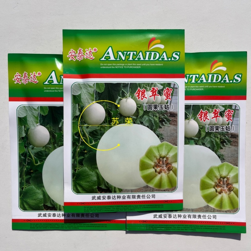 银翠蜜玉姑甜瓜种子籽高端玉菇白皮绿肉软糯香甜冰淇淋蜜瓜