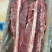 【热卖推荐】满肉大羊羊蝎子，物美质优，一手货源