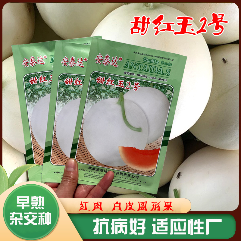 甜红玉2号甜瓜种子早熟清甜酥脆含糖量高超甜优质白皮红肉甜