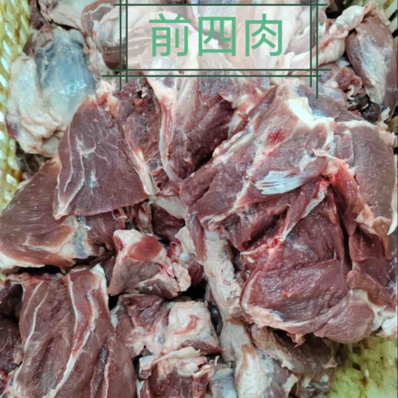 热卖推荐/草饲羔羊/前四肉/烧烤串串/精修/一手货源批发