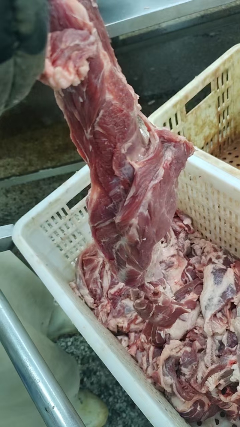 热卖推荐/草饲羔羊/前四肉/烧烤串串/精修/一手货源批发