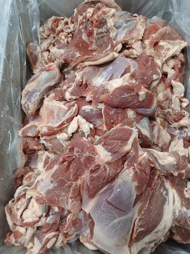 热卖推荐/草饲羔羊/前四肉/烧烤串串/精修/一手货源批发