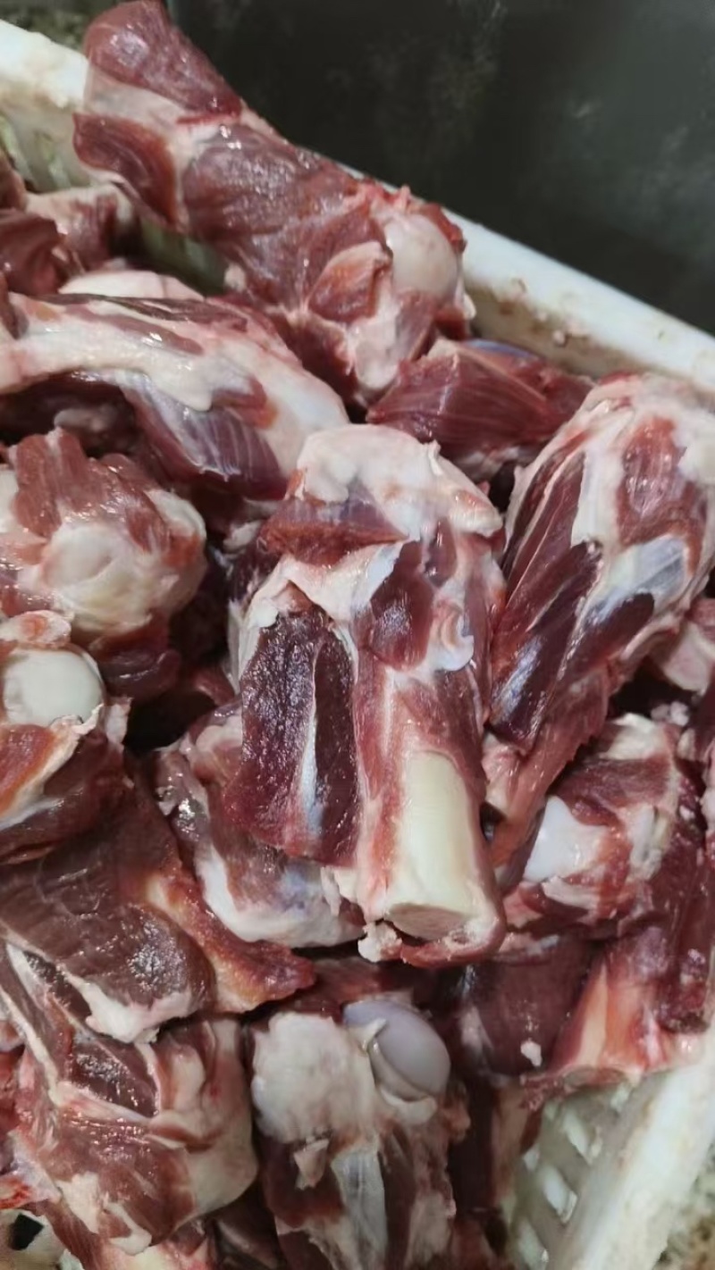 【热卖推荐】满肉羊棒骨/羊肱骨/纯干肉质鲜嫩/工厂直销