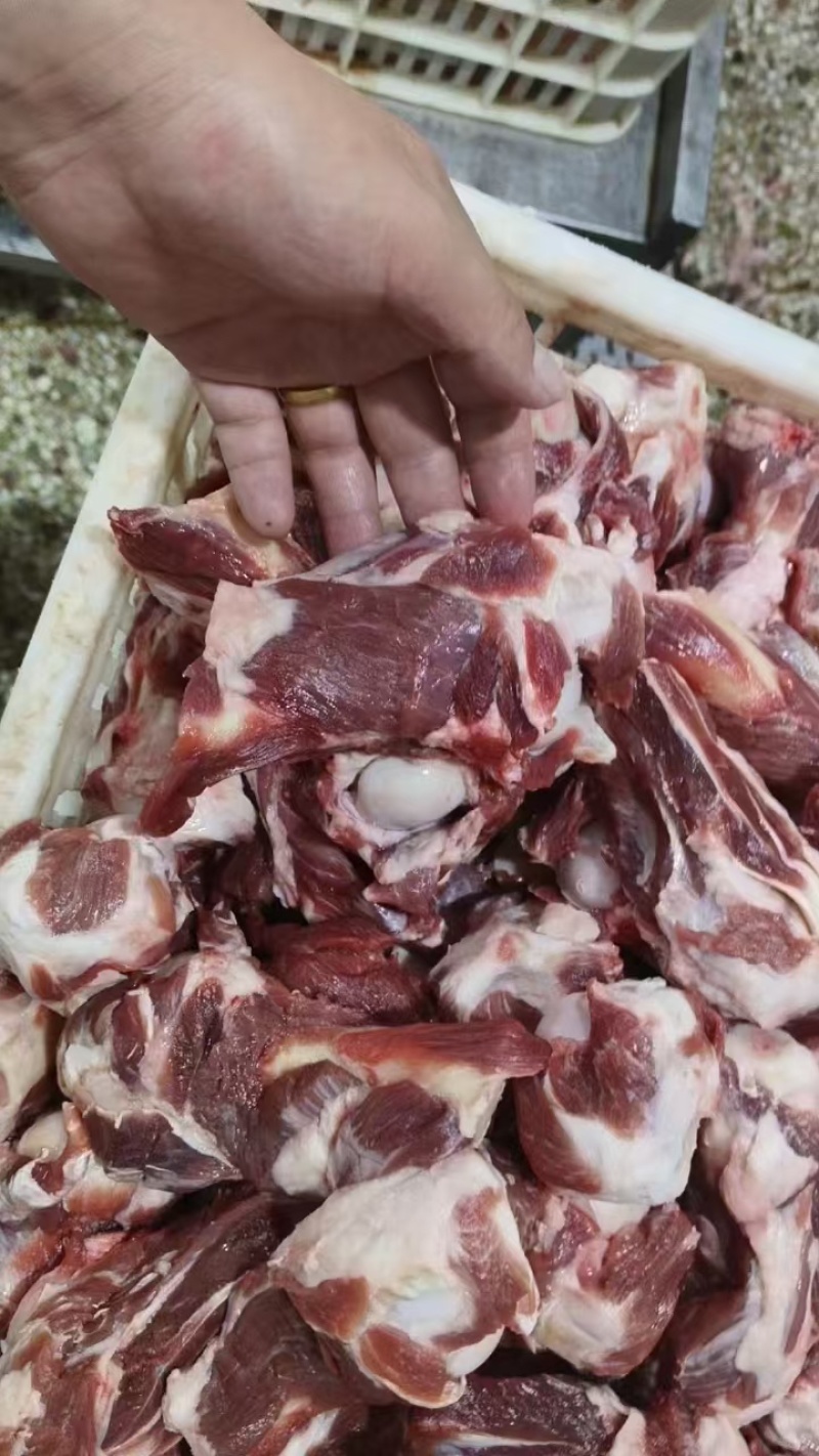 【热卖推荐】满肉羊棒骨/羊肱骨/纯干肉质鲜嫩/工厂直销