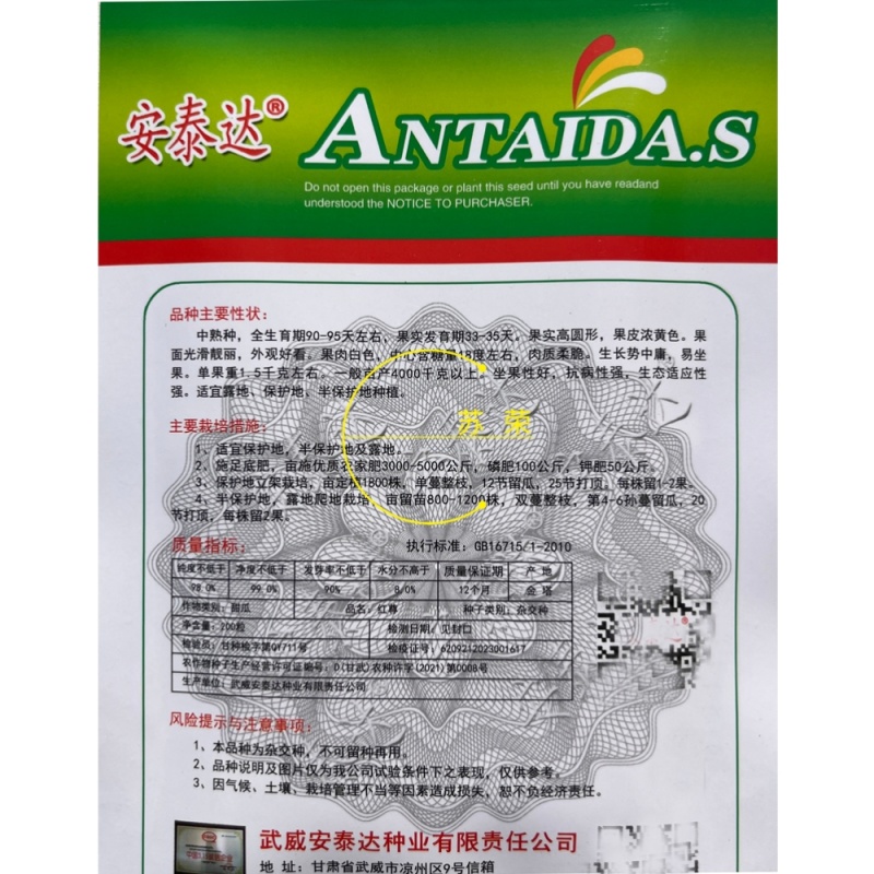 红尊甜瓜种子中熟黄皮白肉甜瓜种籽果实高圆高糖肉质柔脆