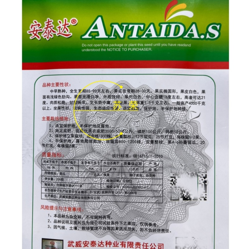 俊美甜瓜种子中早熟白皮白肉甜瓜种籽高糖肉质松脆抗病强