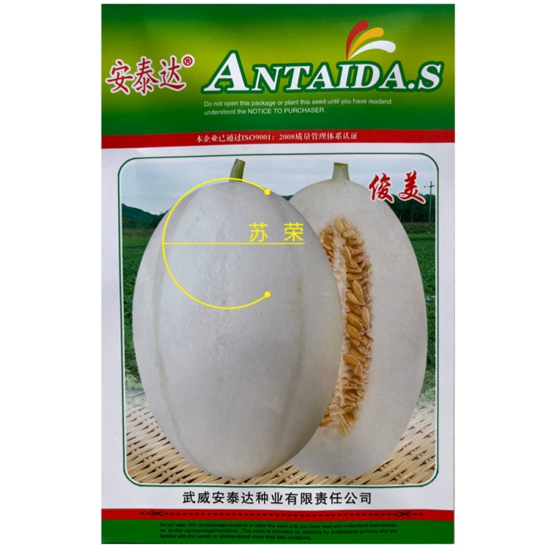 俊美甜瓜种子中早熟白皮白肉甜瓜种籽高糖肉质松脆抗病强