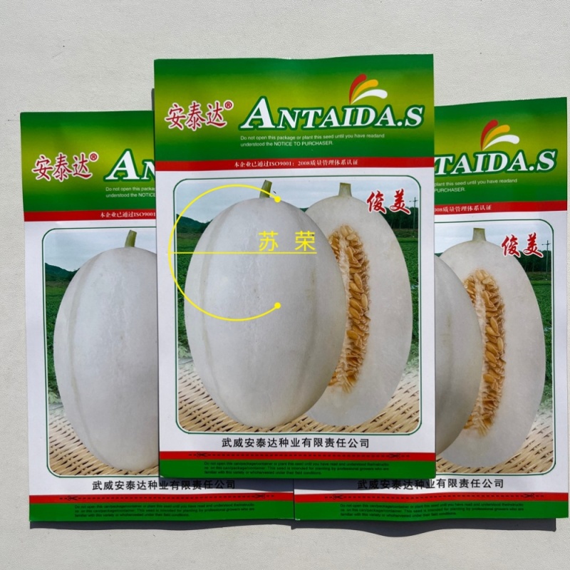 俊美甜瓜种子中早熟白皮白肉甜瓜种籽高糖肉质松脆抗病强